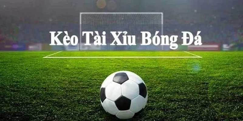 Tài xỉu là loại kèo có cách chơi đặc biệt