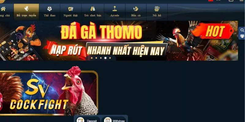 Một số nguyên tắc đặt cược đá gà hiệu quả