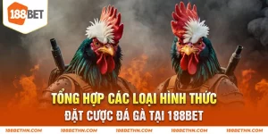 Tổng hợp các hình thức đặt cược đá gà tại 188BET