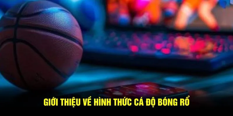Giới thiệu về hình thức cá độ bóng rổ